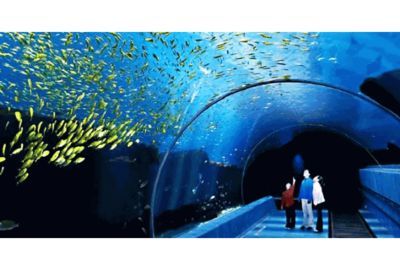 世界水族館排名前十：世界上最大的水族館之一