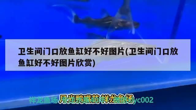 阿里巴巴和金龍魚合作的品牌（就是我開了個微店，然后去阿里巴巴把圖片保）