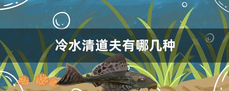 哪些食物有助于龍魚發色？（龍魚發色期喂食計劃表,龍魚發色需要多長時間）
