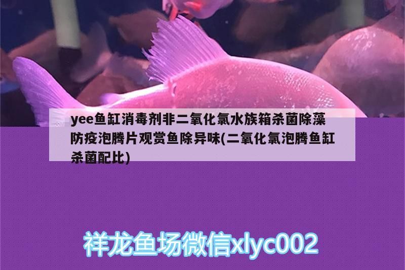 yee魚缸消毒劑非二氧化氯水族箱殺菌除藻防疫泡騰片觀賞魚除異味(二氧化氯泡騰魚缸殺菌配比) yee魚缸消毒劑非二氧化氯水族箱殺菌除藻防疫泡騰片觀賞魚除異味(二氧化氯泡騰魚缸殺菌配比) yee