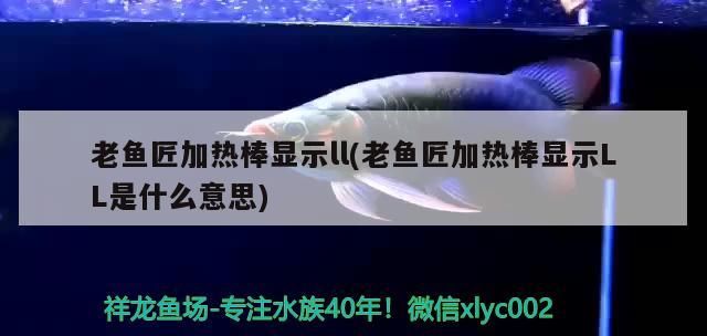 老魚匠加熱棒顯示ll(老魚匠加熱棒顯示LL是什么意思) 老魚匠加熱棒顯示ll(老魚匠加熱棒顯示LL是什么意思) 老魚匠