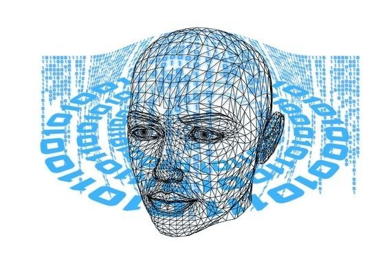 元寶鳳凰魚專用魚糧，元寶鳳凰魚專用魚糧喂養(yǎng)技巧元寶鳳凰魚飼料喂養(yǎng)技巧