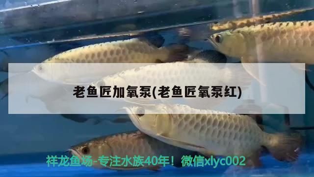老魚匠加氧泵(老魚匠氧泵紅)