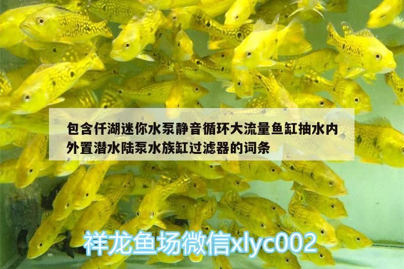 小型魚 包含仟湖迷你水泵靜音循環大流量魚缸抽水內外置潛水陸泵水族缸過濾器的詞條 仟湖 包含仟湖迷你水泵靜音循環大流量魚缸抽水內外置潛水陸泵水族缸過濾器的詞條 包含仟湖迷你水泵靜音循環大流量魚缸抽水內外置潛水陸泵水族缸過濾器的詞條 仟湖
