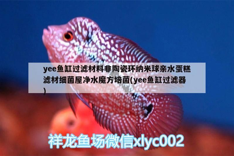 yee魚缸過濾材料非陶瓷環納米球親水蛋糕濾材細菌屋凈水魔方培菌(yee魚缸過濾器)