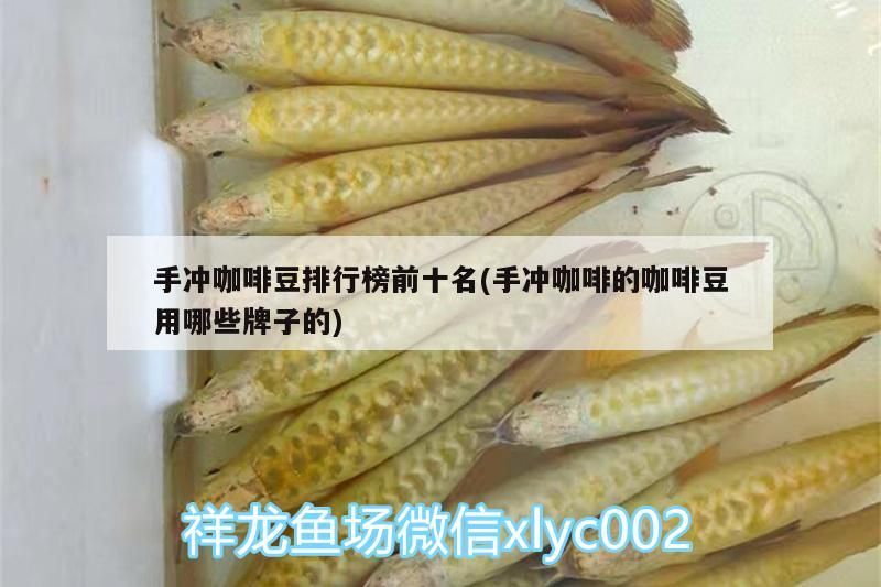 手沖咖啡豆排行榜前十名(手沖咖啡的咖啡豆用哪些牌子的) 手沖咖啡豆排行榜前十名(手沖咖啡的咖啡豆用哪些牌子的) 馬來西亞咖啡