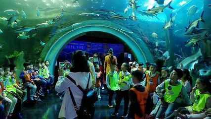 成都最大的水族館在哪里：成都最大的水族館