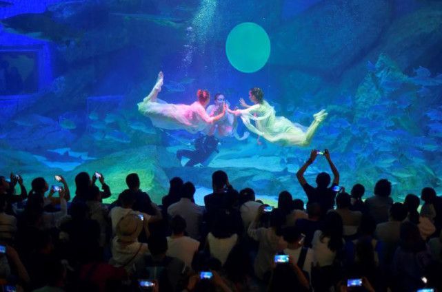 成都最大的水族館在哪里：成都最大的水族館