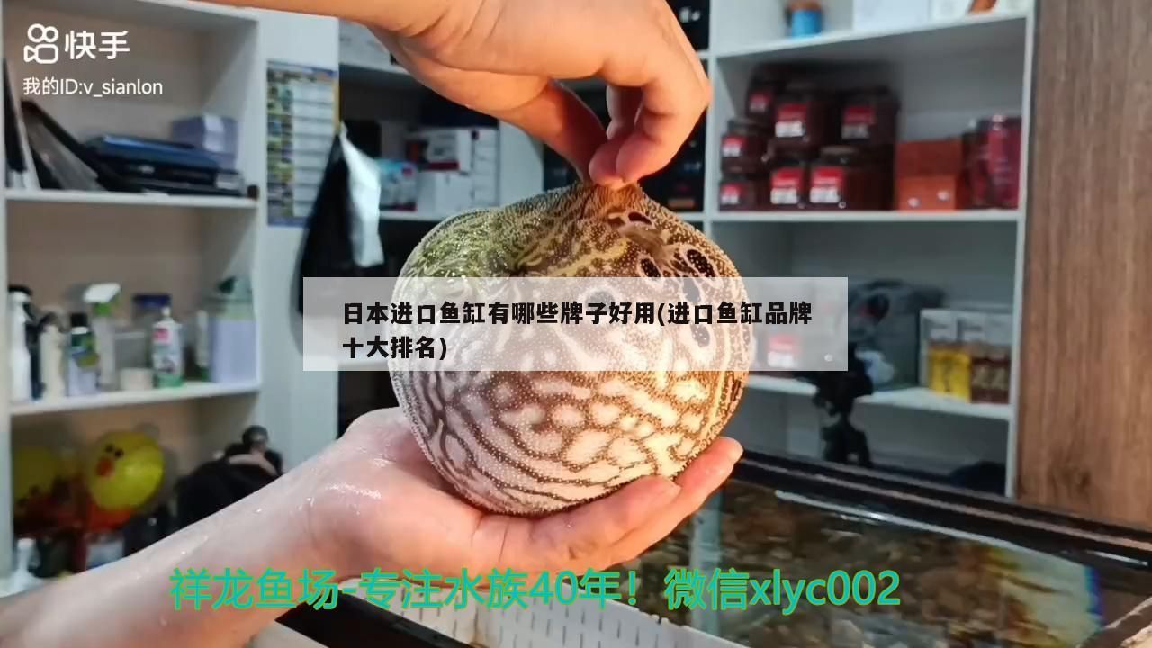 日本進口魚缸有哪些牌子好用(進口魚缸品牌十大排名)