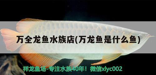 詳細閱讀:萬全龍魚水族店(萬龍魚是什么魚) 萬全龍魚水族店(萬龍魚是什么魚)
