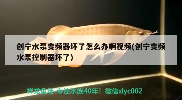 創(chuàng)寧水泵變頻器壞了怎么辦啊視頻(創(chuàng)寧變頻水泵控制器壞了)