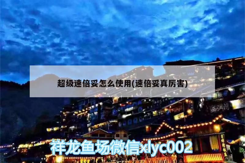 魚缸過濾器選購指南:自制魚缸過濾器魚缸上置過濾器對于養魚愛好者的必備知識 超級速倍妥怎么使用(速倍妥真厲害) 速倍妥 超級速倍妥怎么使用(速倍妥真厲害) 超級速倍妥怎么使用(速倍妥真厲害) 速倍妥