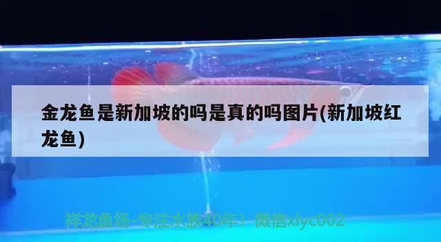 魚缸用增氧泵價格是多少:魚缸增氧機-xtrac增氧機-xtrac增氧機 東營魚缸專賣店地址電話多少號(東營魚缸批發市場) 廣州孟吉爾 東營魚缸專賣店地址電話多少號(東營魚缸批發市場) 東營魚缸專賣店地址電話多少號(東營魚缸批發市場) 廣州孟吉爾