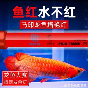 馬印水族燈是雜牌嗎還是正品的：馬印水族燈是雜牌嗎還是正品 馬印水族燈是雜牌嗎還是正品的：馬印水族燈是雜牌嗎還是正品 馬印水族 第4張