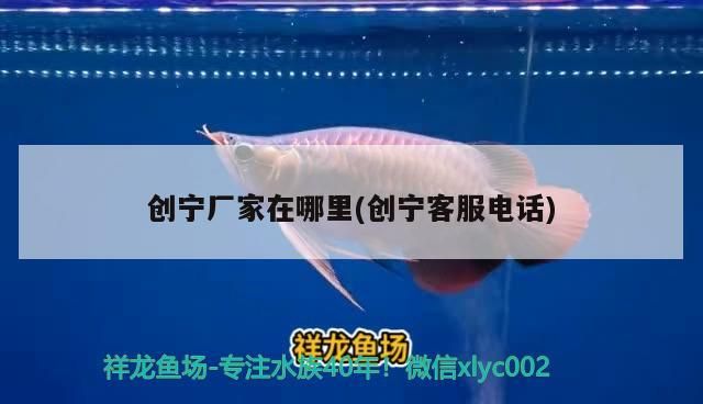 創寧廠家在哪里(創寧客服電話)