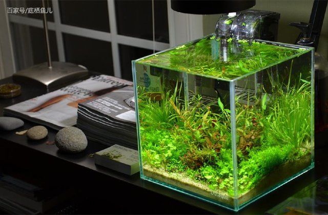 水族館魚缸過濾系統圖（水族館魚缸過濾系統圖是用于展示和維護水族館內魚類生活所需的水質循環過程）
