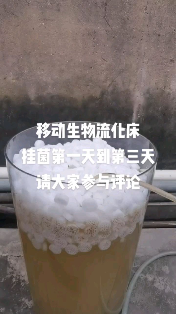 佛山市順德區大良順生水族器材店