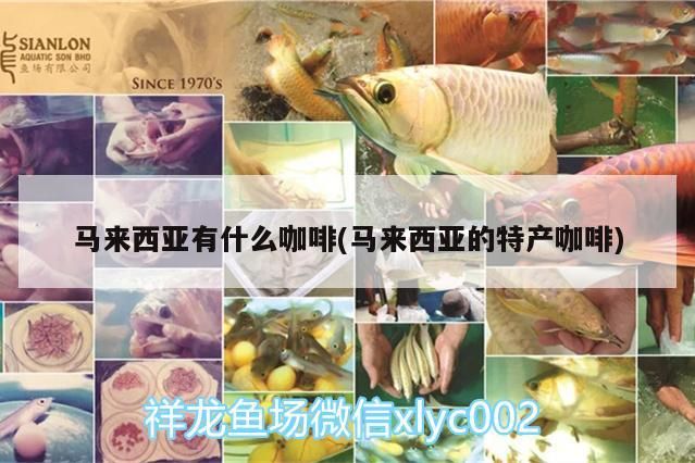 馬來西亞有什么咖啡(馬來西亞的特產(chǎn)咖啡)