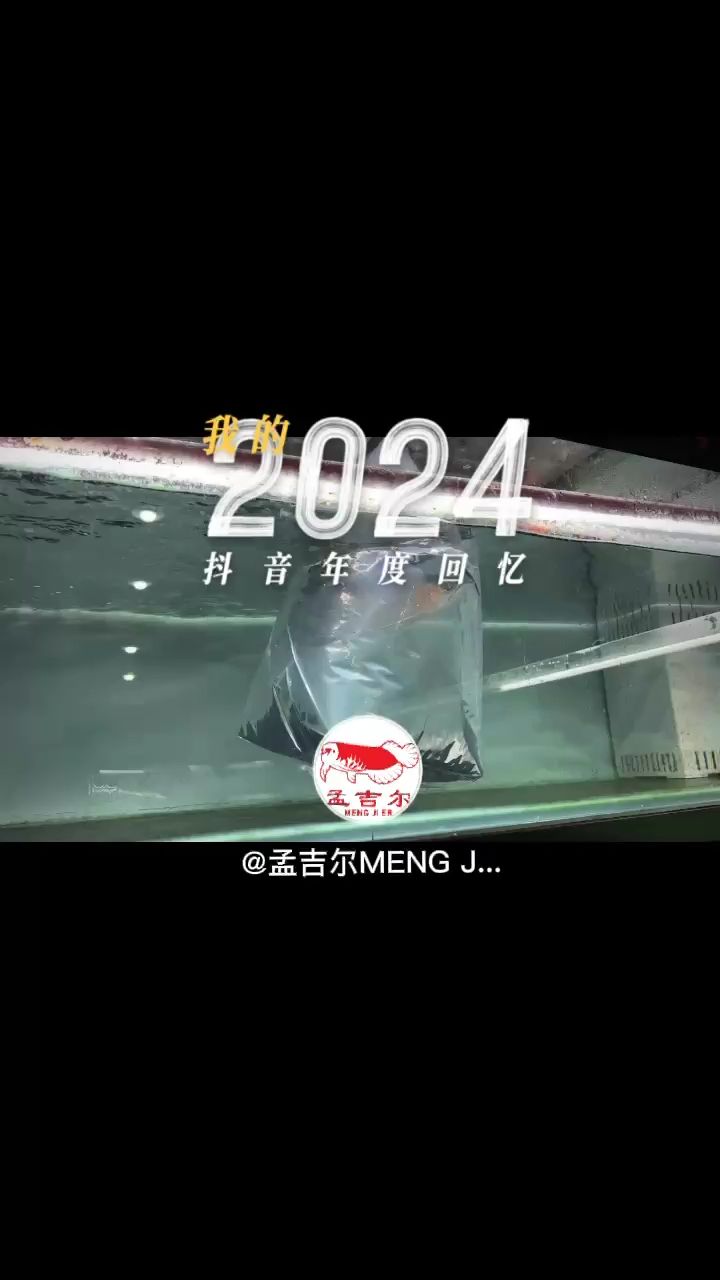 一路風塵 從未停止-孟吉爾紅龍