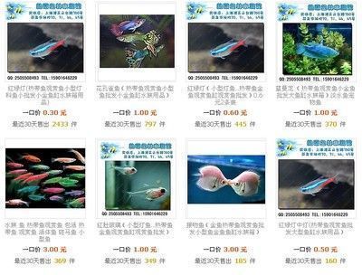 祥龍水族館海洋生物科普課程（祥龍水族館的海洋生物科普課程）