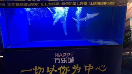 開一家水族館需要些什么證件呢（開設水族館需辦理什么證件）