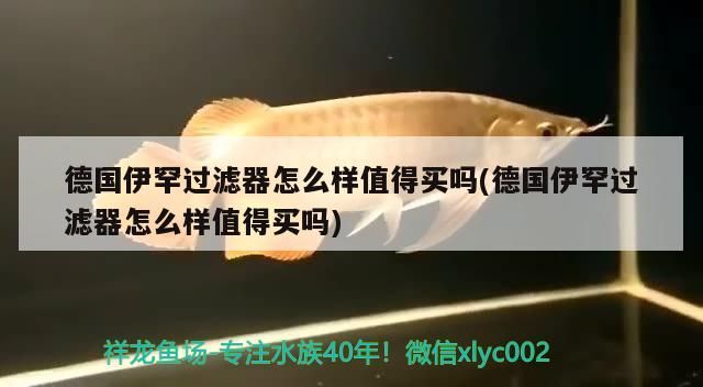 德國伊罕過濾器怎么樣值得買嗎(德國伊罕過濾器怎么樣值得買嗎)