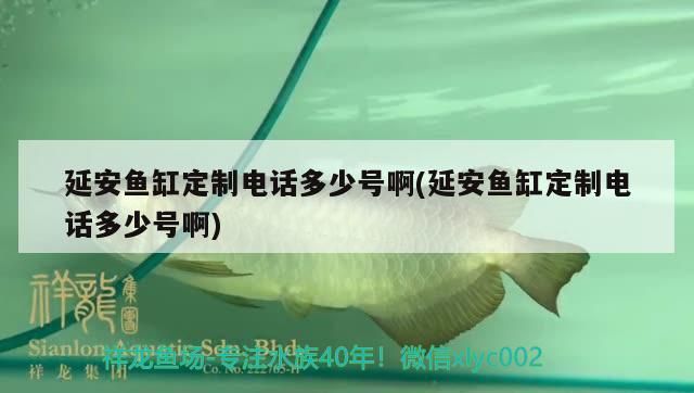 延安魚缸定制電話多少號(hào)啊(延安魚缸定制電話多少號(hào)啊)