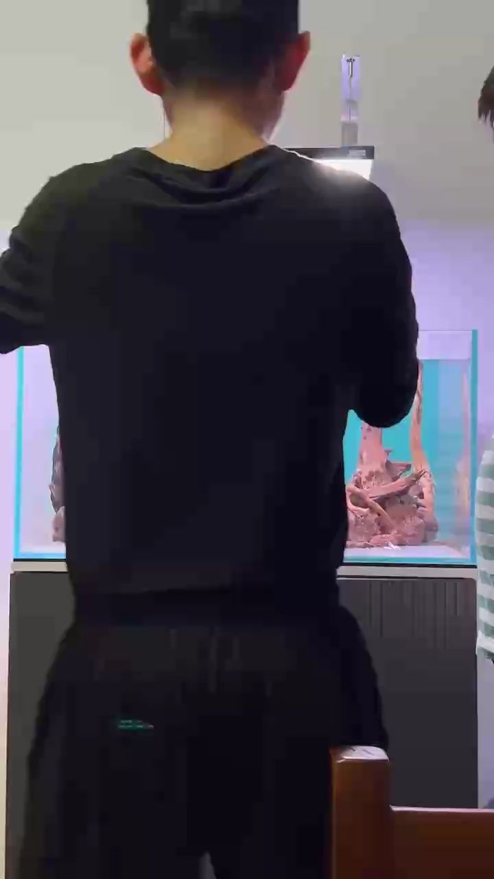 我的虎魚真菌感染了要怎么處理 接上條視頻 龍魚論壇 接上條視頻 接上條視頻 龍魚論壇