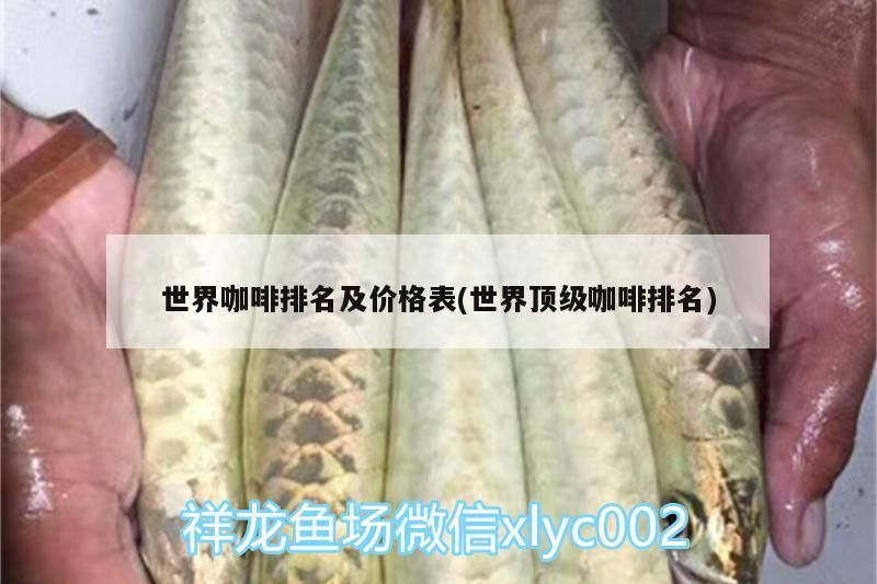 世界咖啡排名及價格表(世界頂級咖啡排名)