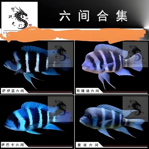 攢積分