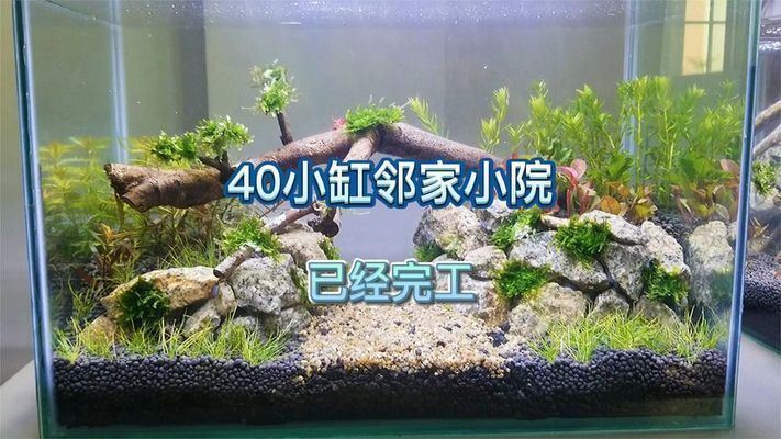 40魚缸造景效果圖黑沙：40魚缸造景之山水景觀魚缸造景之山水景觀魚缸造景之小缸打理技巧