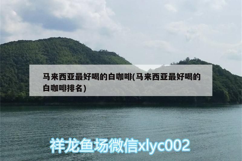 馬來西亞最好喝的白咖啡(馬來西亞最好喝的白咖啡排名)