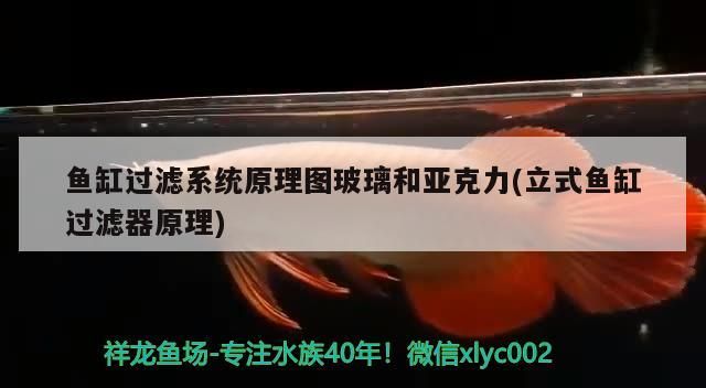 魚缸過濾系統(tǒng)原理圖玻璃和亞克力(立式魚缸過濾器原理)