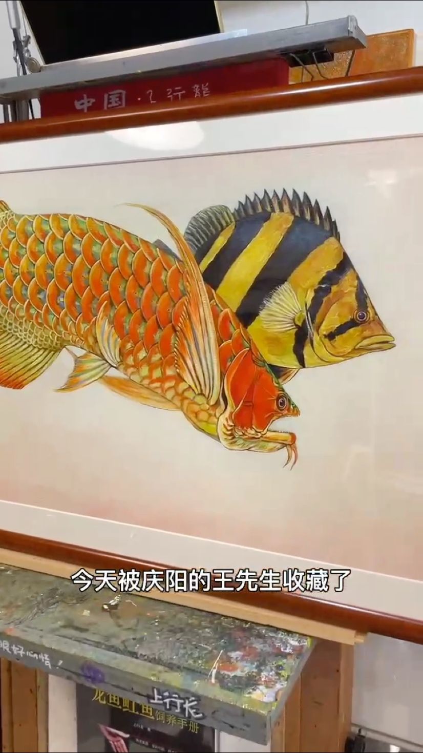 養魚的快樂很簡單，只需一眼便是好心情！