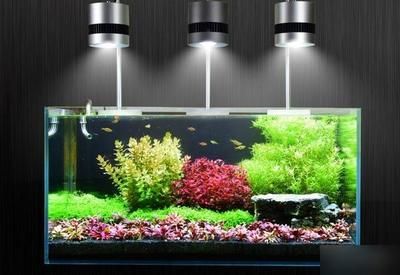老魚匠水泵靜音嗎（老魚匠水泵怎么調模式）