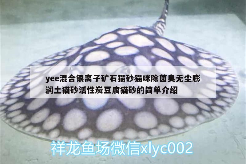 yee混合銀離子礦石貓砂貓咪除菌臭無塵膨潤土貓砂活性炭豆腐貓砂的簡單介紹