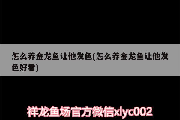 怎么養金龍魚讓他發色(怎么養金龍魚讓他發色好看)
