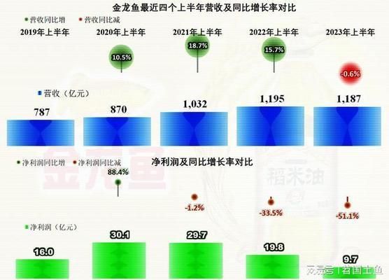 龍魚和金龍魚區別：龍魚與金龍魚的區別 龍魚和金龍魚區別：龍魚與金龍魚的區別 金龍魚百科 第3張