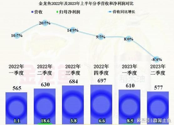 龍魚和金龍魚區別：龍魚與金龍魚的區別 龍魚和金龍魚區別：龍魚與金龍魚的區別 金龍魚百科 第4張