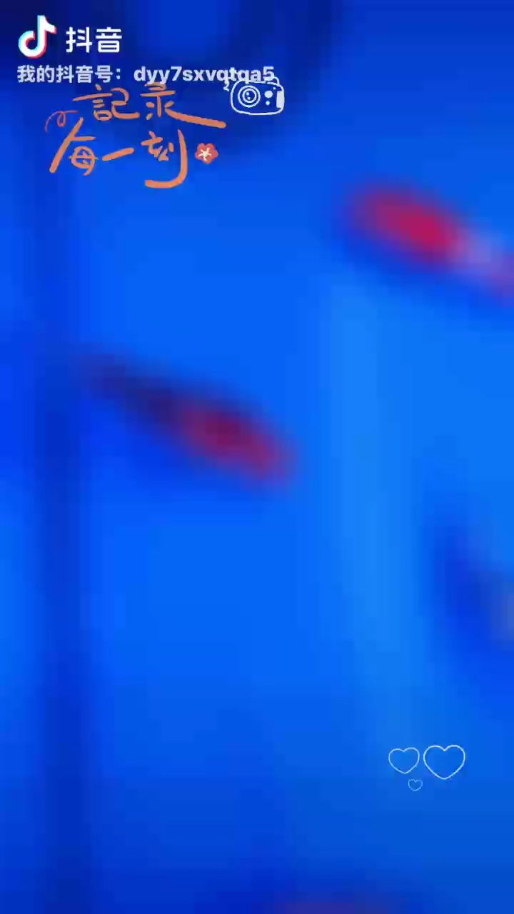 錦鯉圈