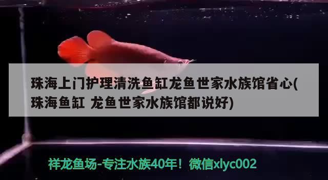 珠海上門護理清洗魚缸龍魚世家水族館省心(珠海魚缸龍魚世家水族館都說好)