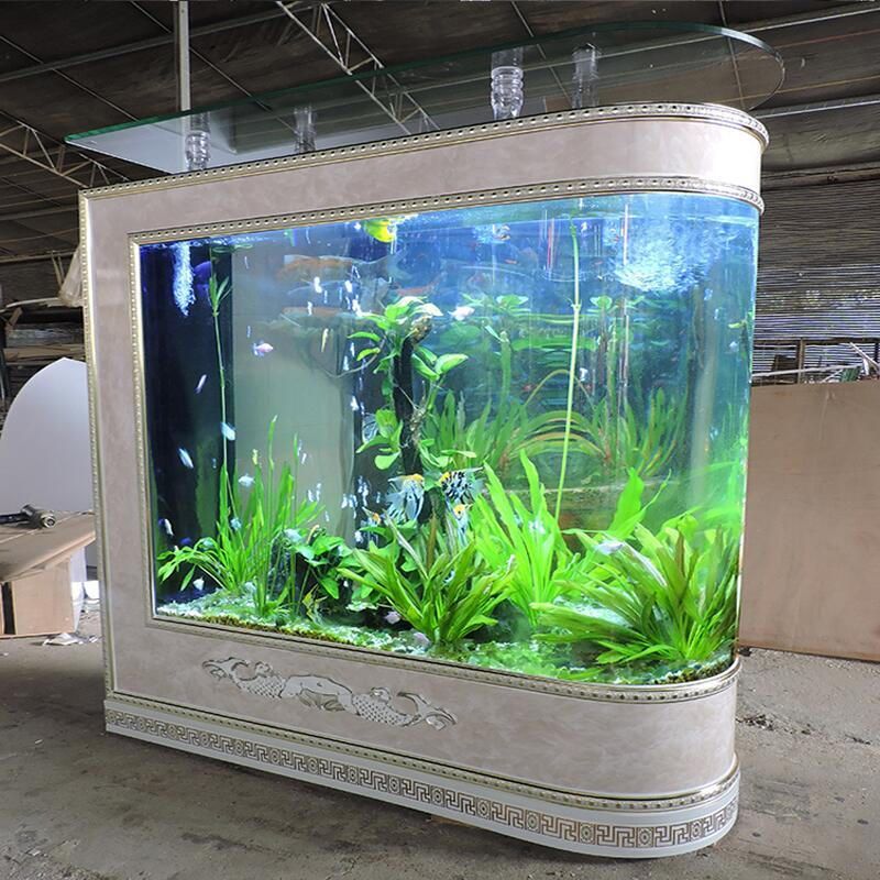 baoong魚缸：30篇寶瓶魚缸價(jià)格
