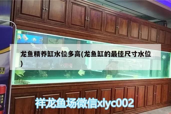 我覺得應該叫你吃吐