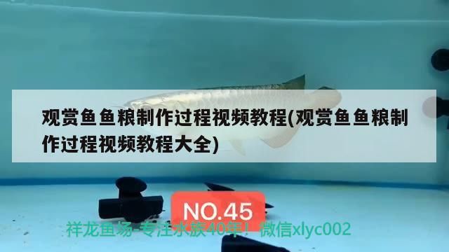 觀賞魚魚糧制作過程視頻教程(觀賞魚魚糧制作過程視頻教程大全)