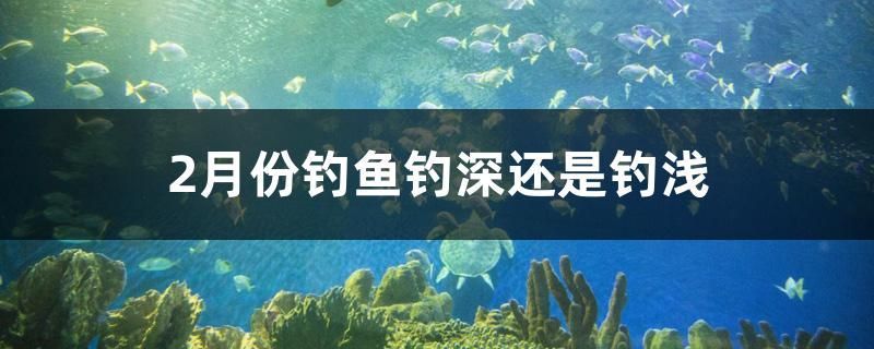 佛山魚缸清洗服務中心地址在哪里啊（家里魚缸增氧泵聲音大！想買個超靜音的增氧） 佛山魚缸清洗服務中心地址在哪里啊（家里魚缸增氧泵聲音大！想買個超靜音的增氧） 可麗愛魚缸 第1張
