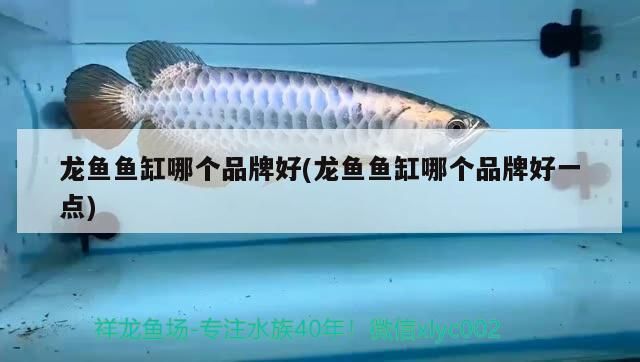 日照魚缸維修電話號碼多少（屋頂養魚方法和技巧有哪些）
