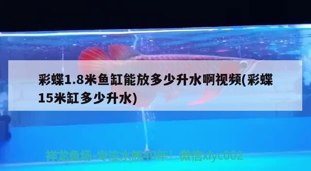 日照魚缸維修電話號碼多少（屋頂養魚方法和技巧有哪些）