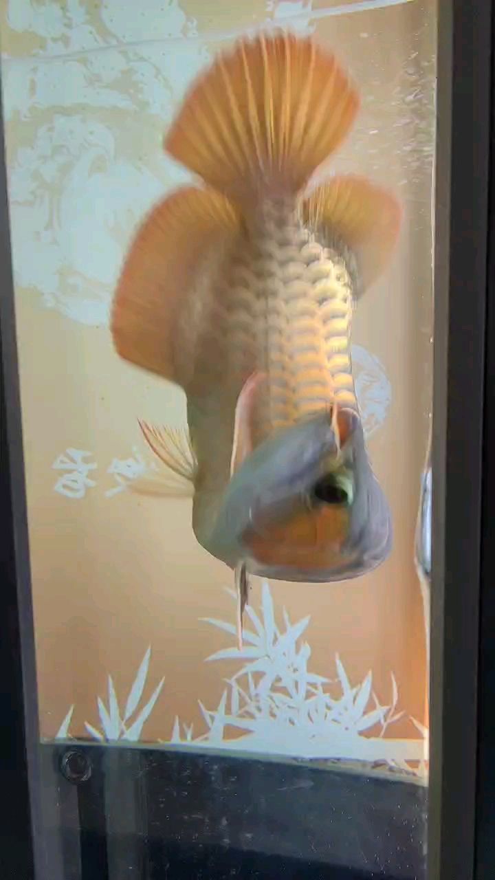 24年12月最后的一個星期天……