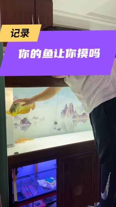 和魚互動互動