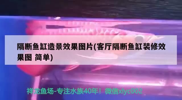 隔斷魚缸造景效果圖片(客廳隔斷魚缸裝修效果圖簡單)